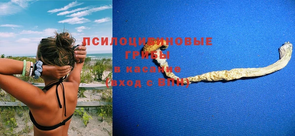 герыч Пересвет