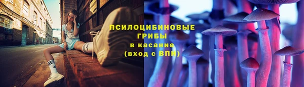 ешки Армянск