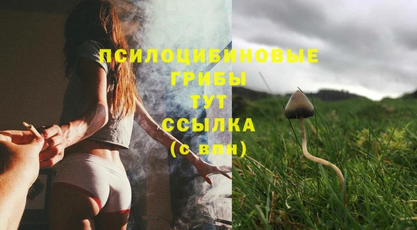 МДМА Арсеньев