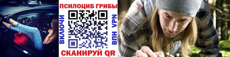 МЕГА ссылки  Светлогорск  Псилоцибиновые грибы Cubensis  купить наркоту 