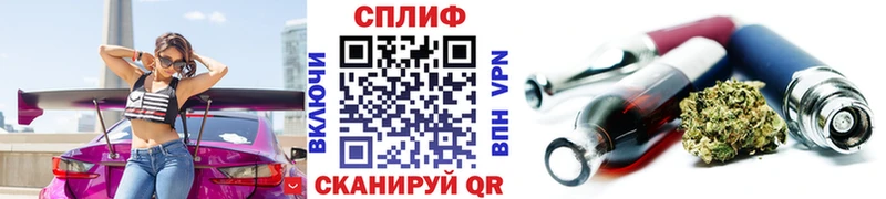 как найти наркотики  kraken сайт  Шишки марихуана гибрид  Светлогорск 
